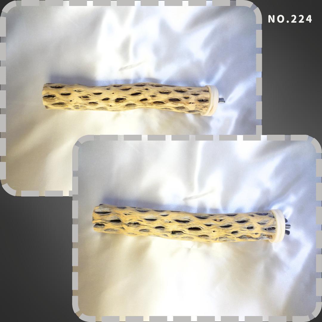 maona　鳥用品　止まり木　カクタス　スケルトン　パーチ　2本おまとめ