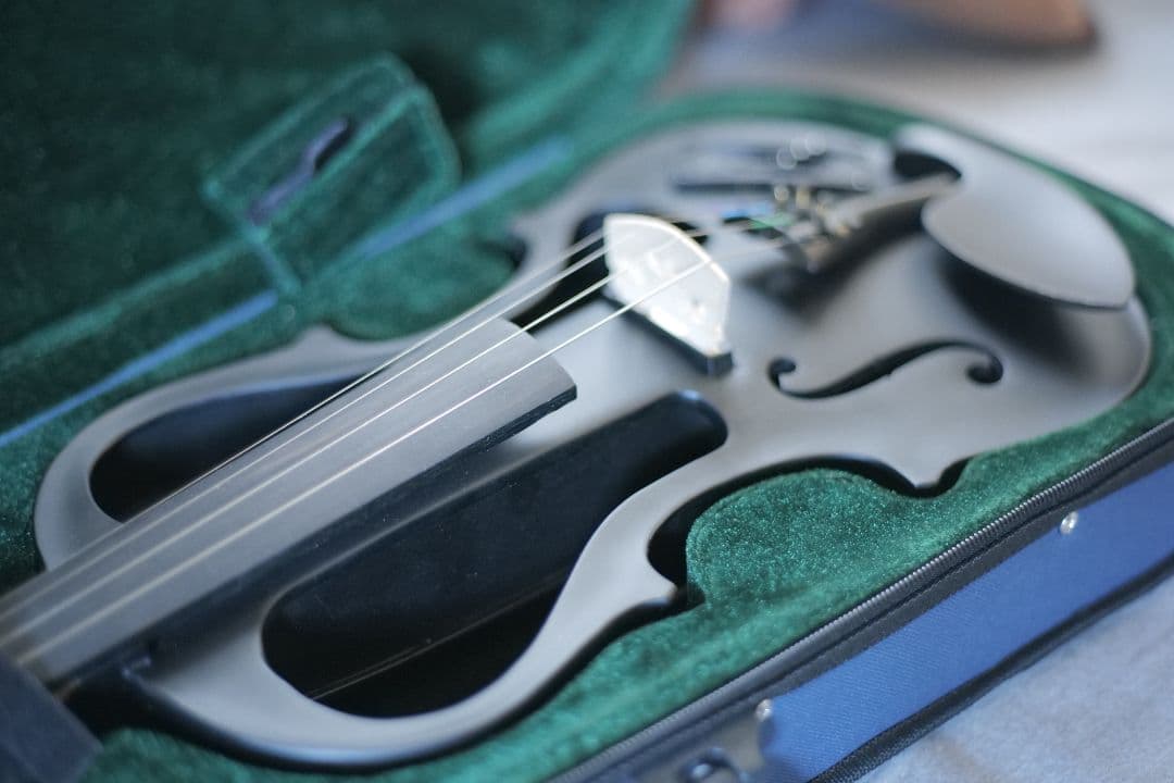 Hallstatt エレキバイオリン