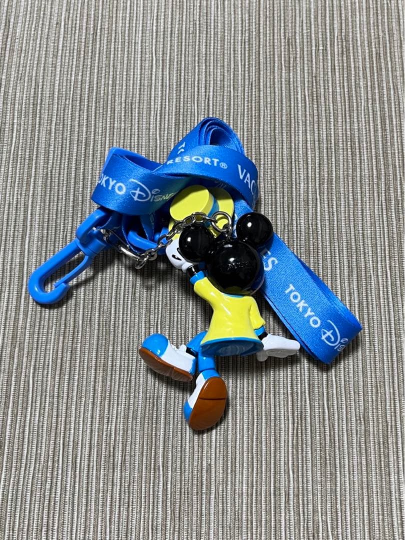 ポップコーンバケット TDR バケーションパッケージ限定