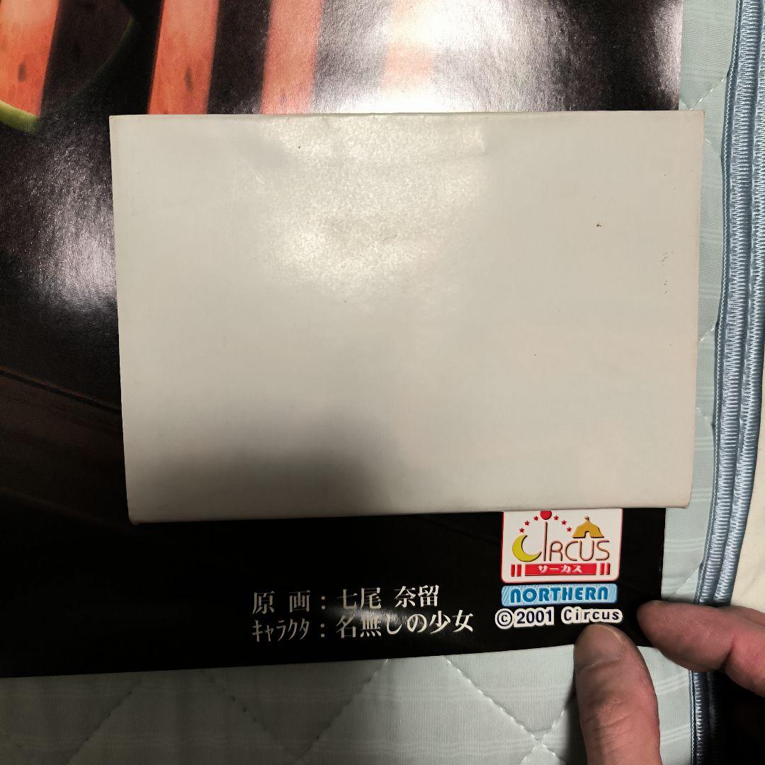 水夏　大きなポスター