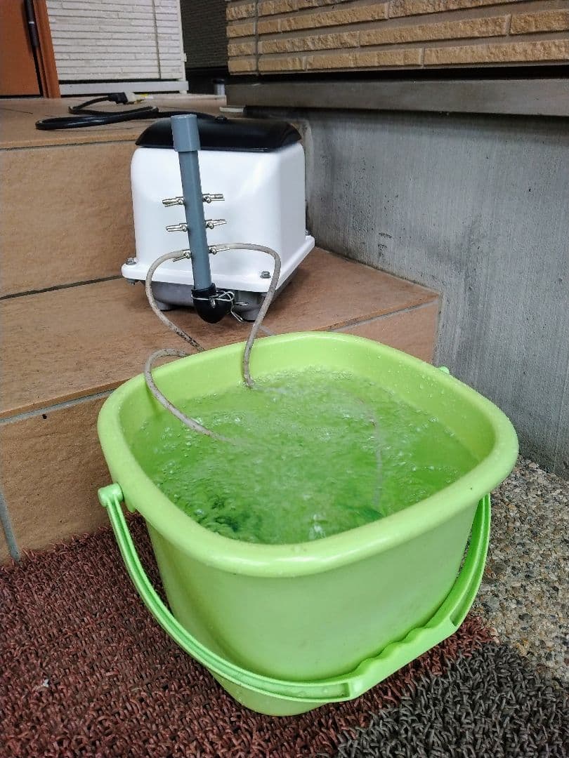 【大晃（JDK-80）80L】 551ダイアフラム　エアポンプ　ブロワー　浄化槽