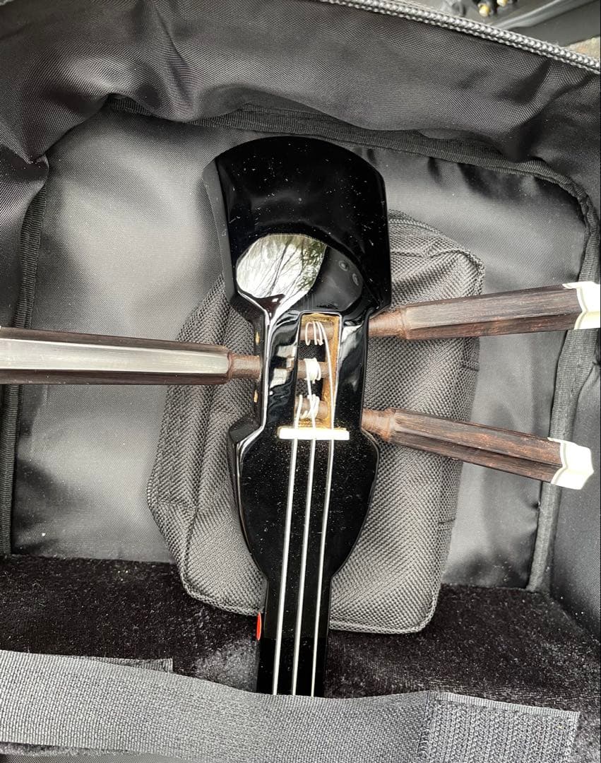 ヘビ皮製三線 3弦 専用ケース付き