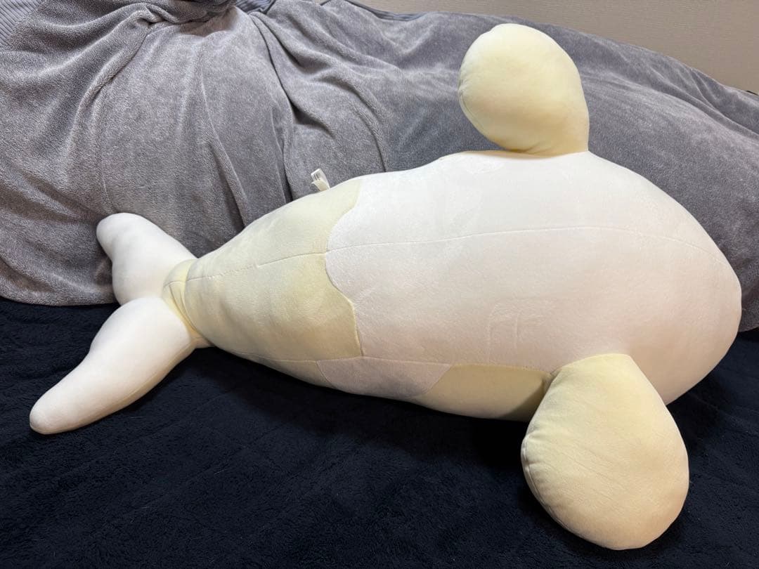 【最終値下げ】名古屋港水族館　くじ特賞　シャチ　ぬいぐるみ　アルビノ 約90cm