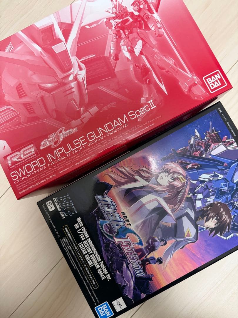 RGソードインパルスガンダム specⅡ、HGデスティニー specⅡクリアカラ