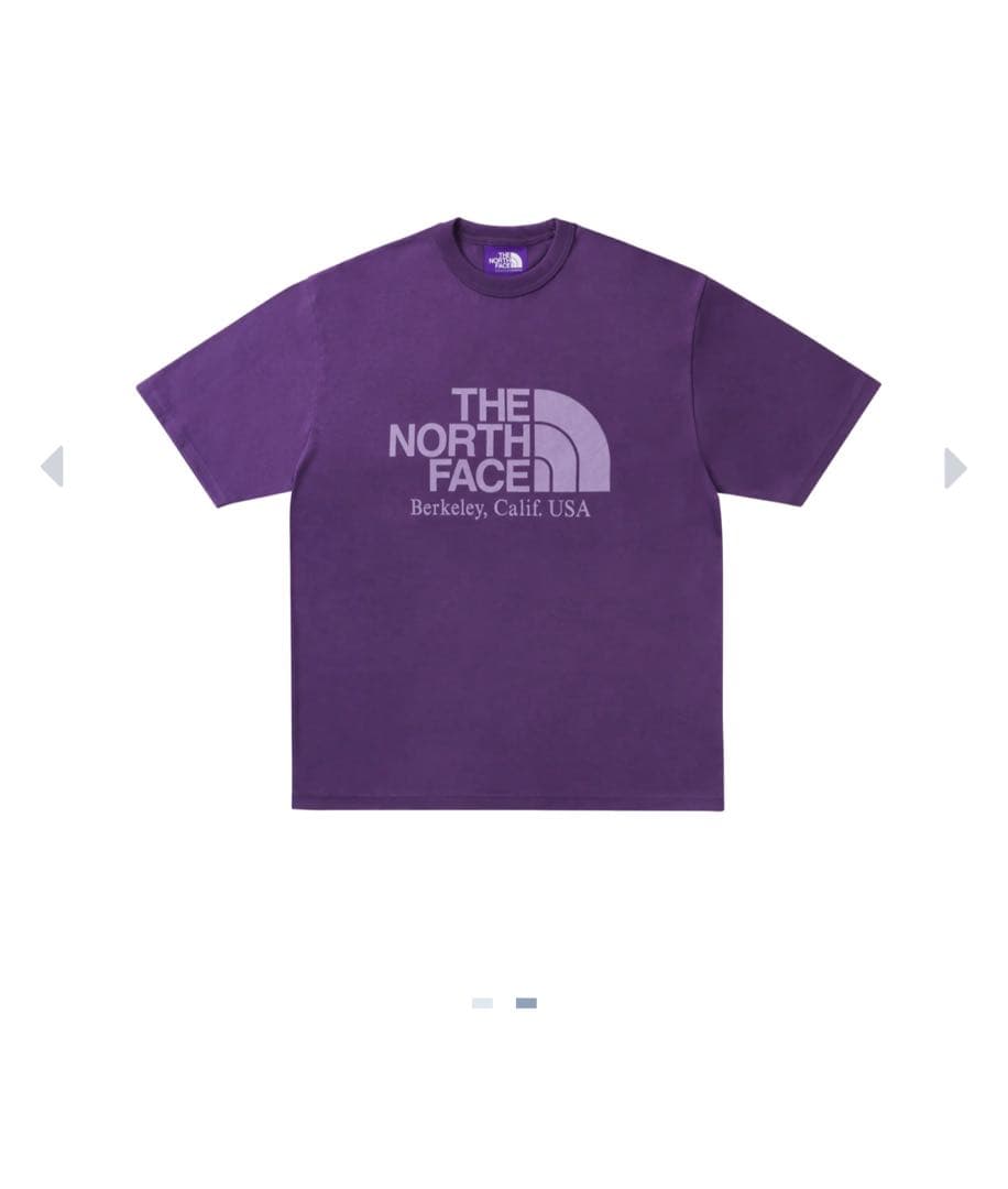 トップス PALACE North Face Graphic Tee Purple L