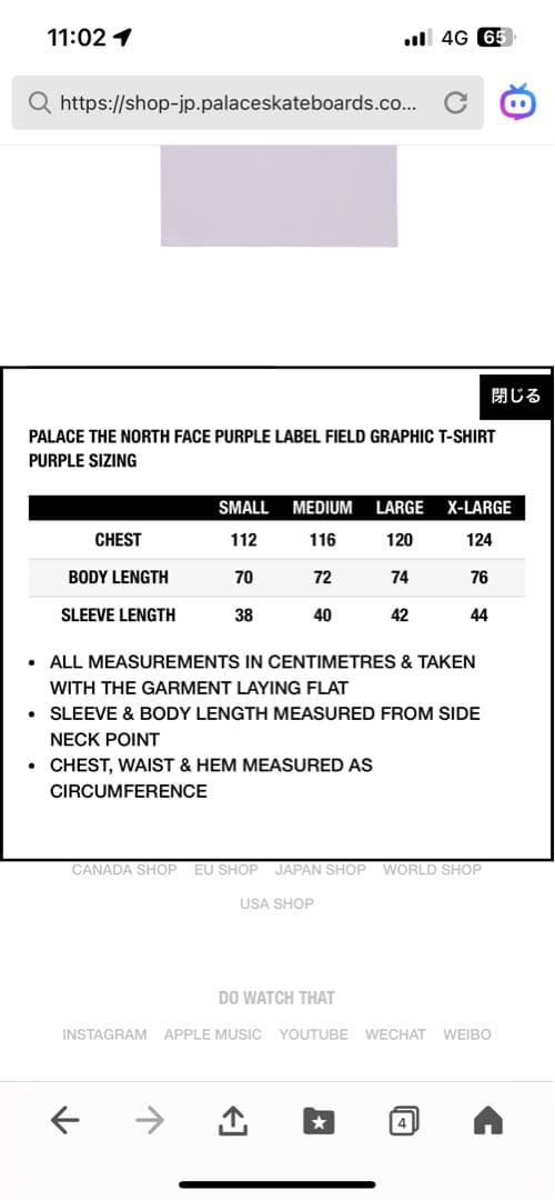 トップス PALACE North Face Graphic Tee Purple L