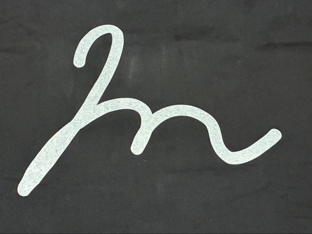 【24AW my beautiful landlet プリントフリーサイズT】