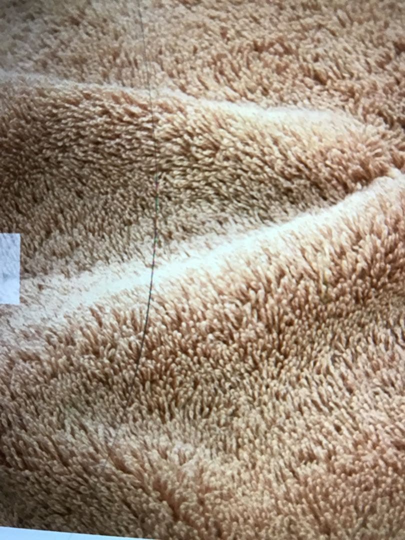 新品未使用品　イヴドローム　日本未発売/エトワール　大判タオル