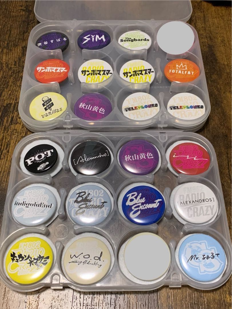 レディクレ2023缶バッジ　【選んでクレイジー】単価333以下