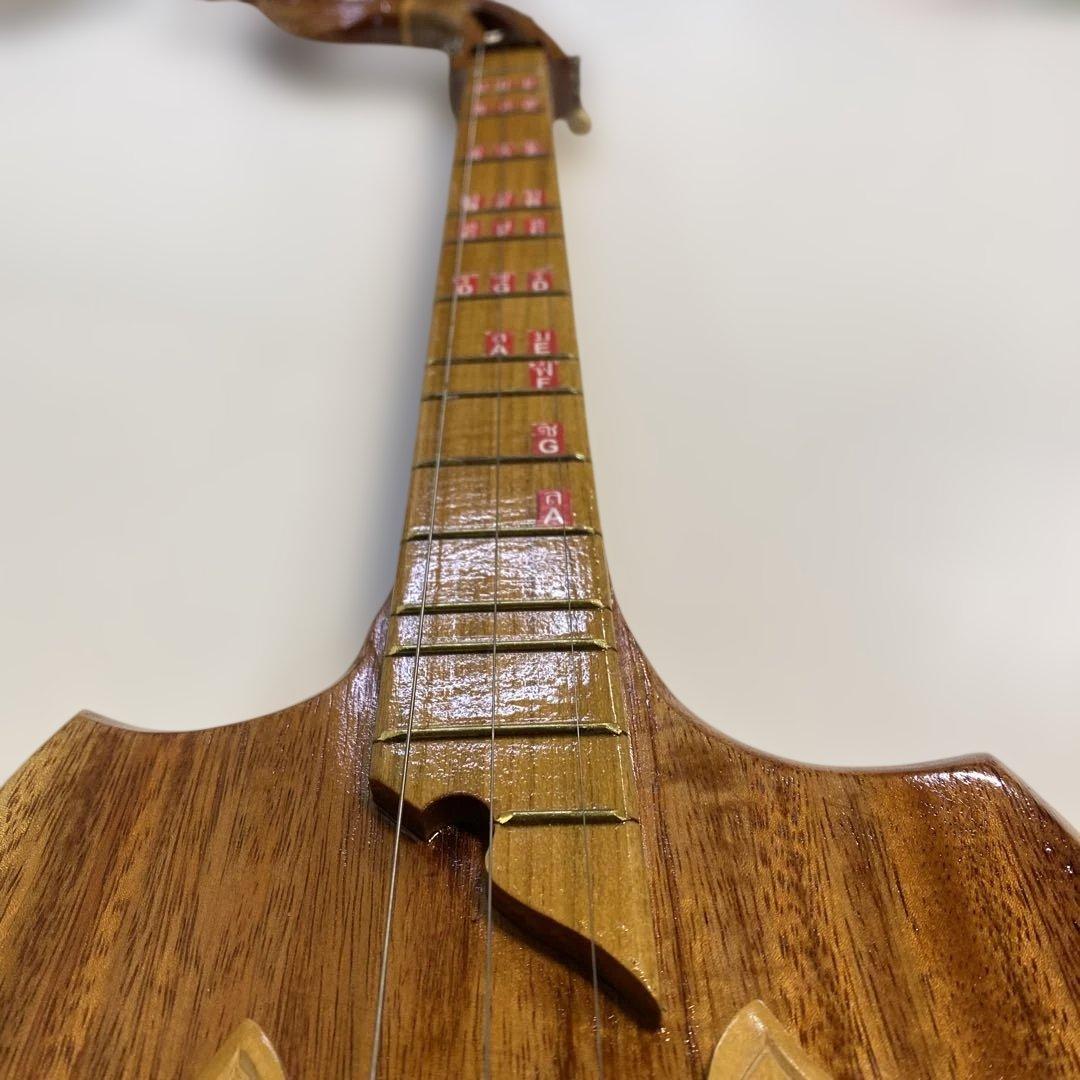タイ 伝統楽器 エレクトリックピン 三弦 バンコク 民俗楽器 ピン ほぼ未使用
