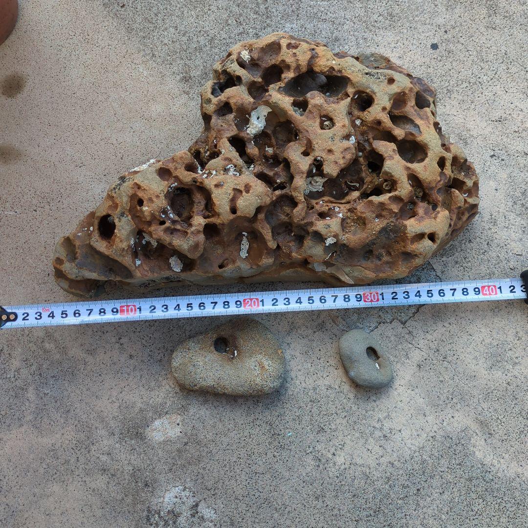 送料無料　アクアリウム　水槽用石セット　メダカ熱帯魚