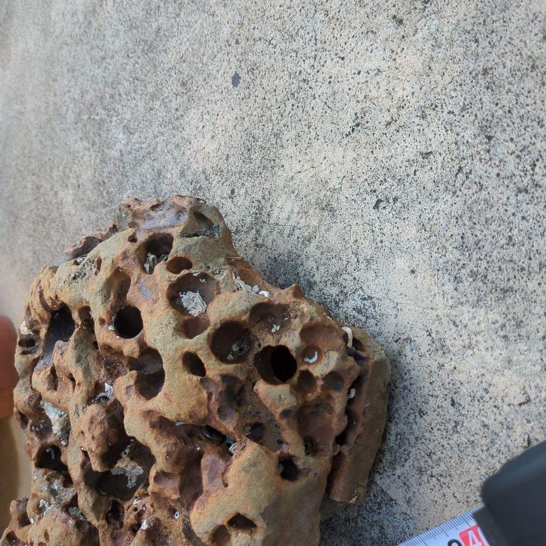 送料無料　アクアリウム　水槽用石セット　メダカ熱帯魚