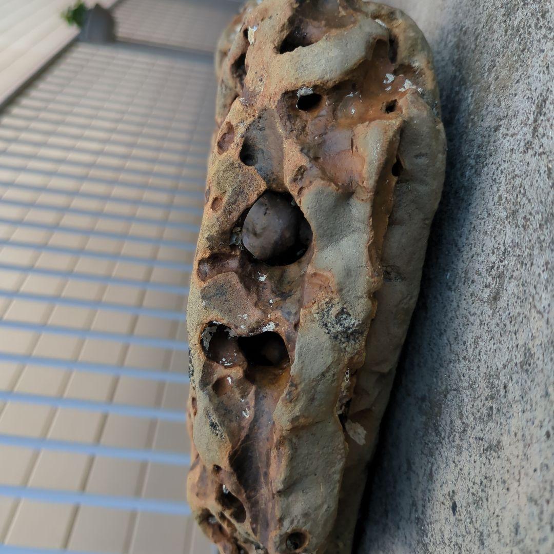 送料無料　アクアリウム　水槽用石セット　メダカ熱帯魚