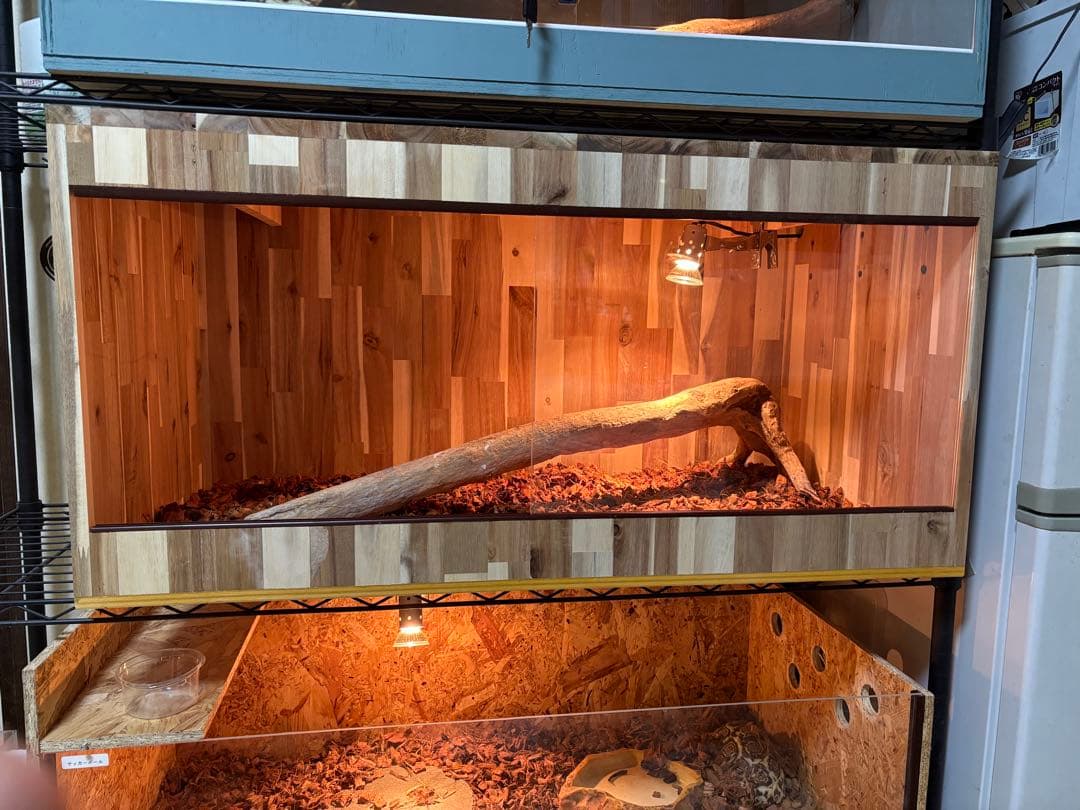 爬虫類ケージ　アカシア材　90×45×45 飼育　ケージ　ペット　小動物　ケース