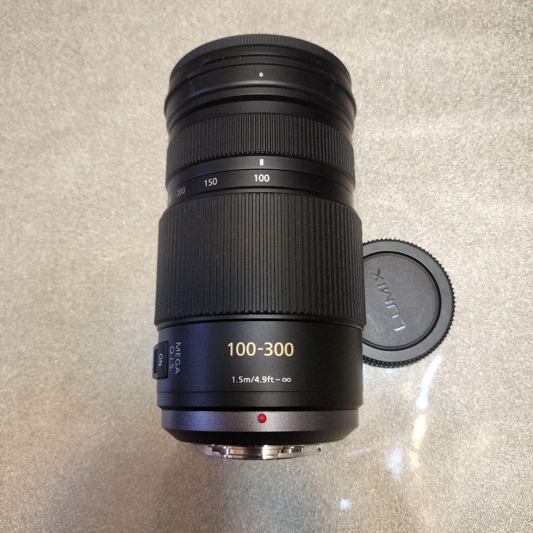 レンズ(ズーム) LUMIX G VARIO 100-300mm f4-5.6