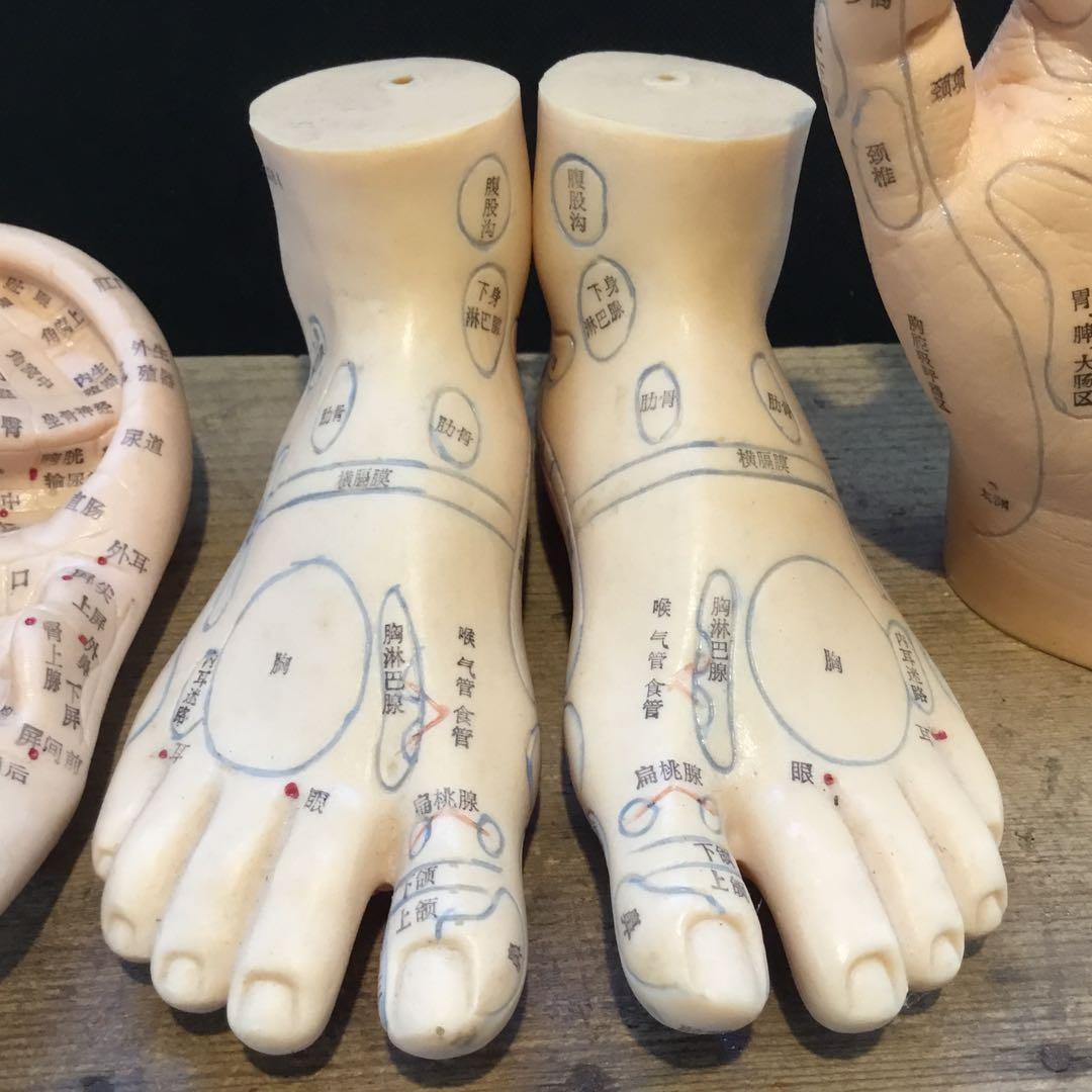 鍼灸経穴人体模型　コンプリート　中国鍼灸男性人体模型　耳　足　手