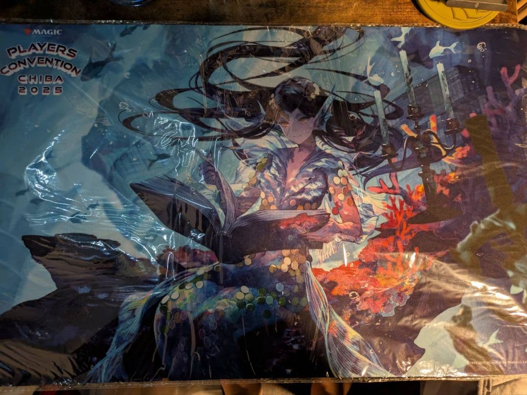 リスティックの研究 プレイマット