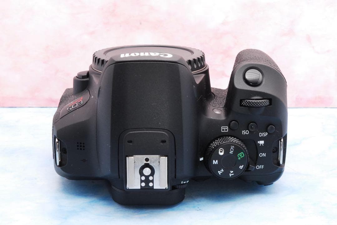 テングA☆スマホ転送☆美品☆STMレンズ☆一眼レフカメラ