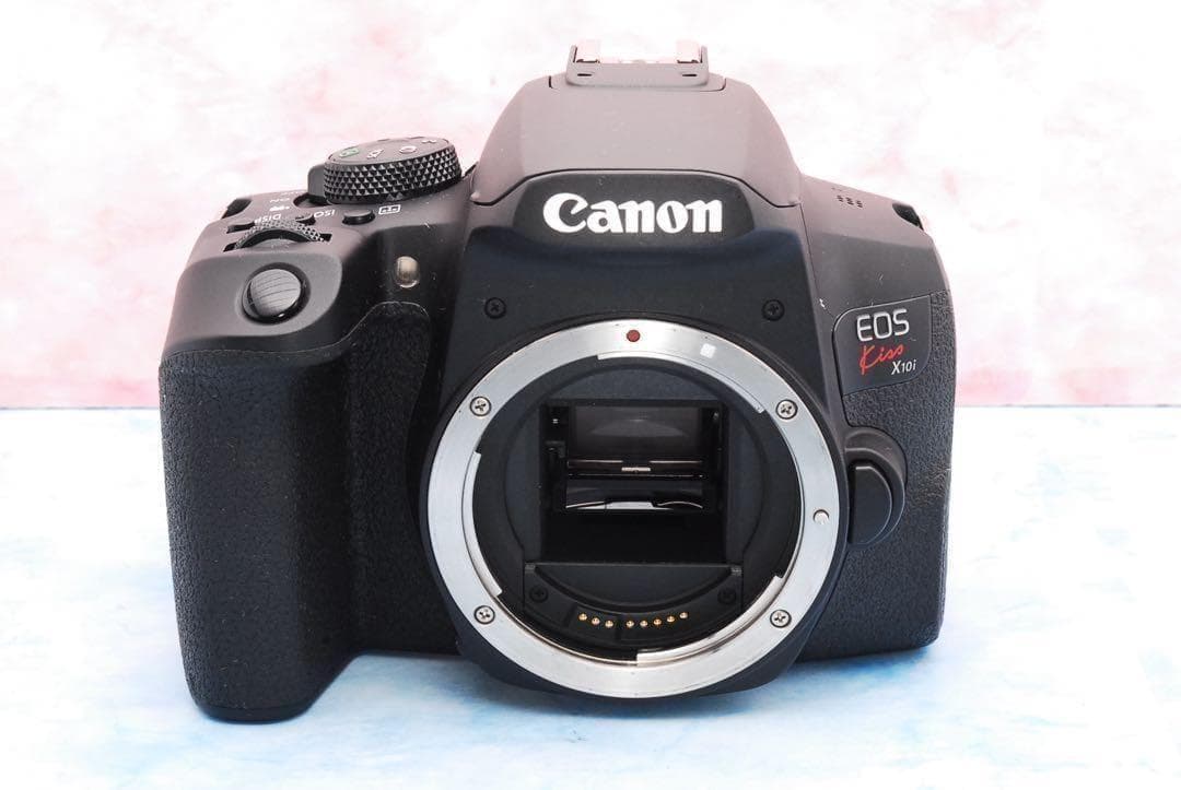 テングA☆スマホ転送☆美品☆STMレンズ☆一眼レフカメラ