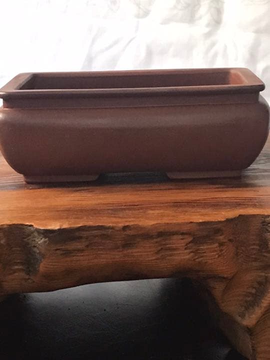 ⑧ミニ盆栽鉢 中国宜興 朱泥袋式長方鉢11cmx7.3cm x4.3cmおまけ付