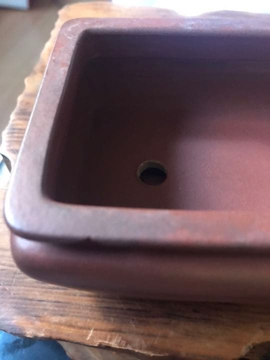 ⑧ミニ盆栽鉢 中国宜興 朱泥袋式長方鉢11cmx7.3cm x4.3cmおまけ付