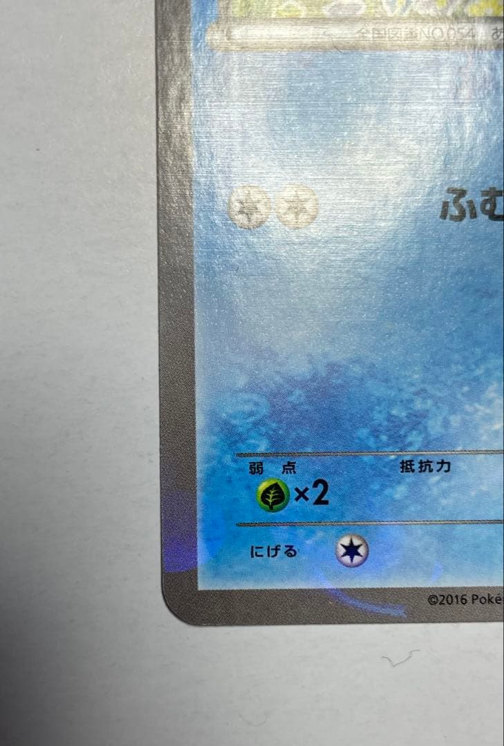 XY-P コダック　ポケキュンコレクション キャンペーン　プロモ