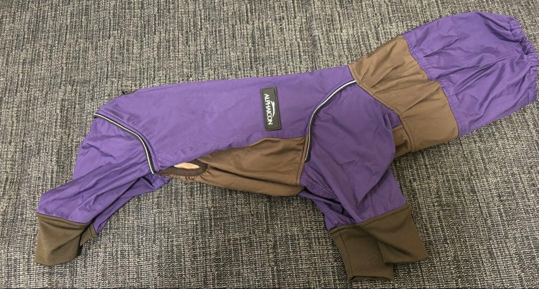 アルファアイコン⭐︎スノードックガード