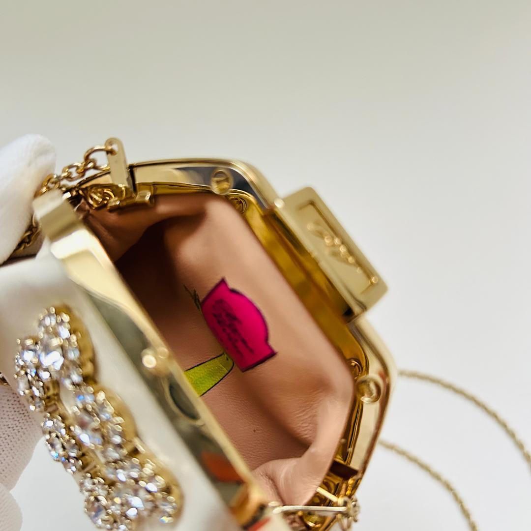 レア　ロジェヴィヴィエ ケース　がま口　チェーン　財布　レザー　コンパクト