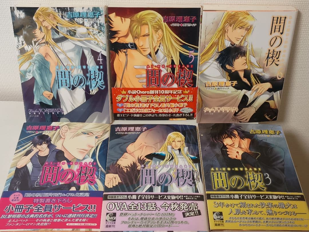 間の楔 クリスタル文庫全6巻 キャラ文庫全6巻 クサビ同人ワールド まとめ売り