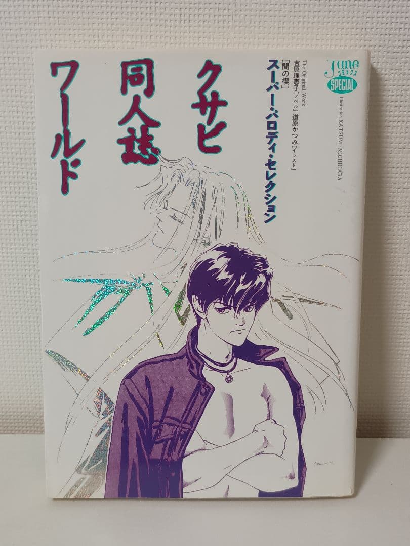 間の楔 クリスタル文庫全6巻 キャラ文庫全6巻 クサビ同人ワールド まとめ売り