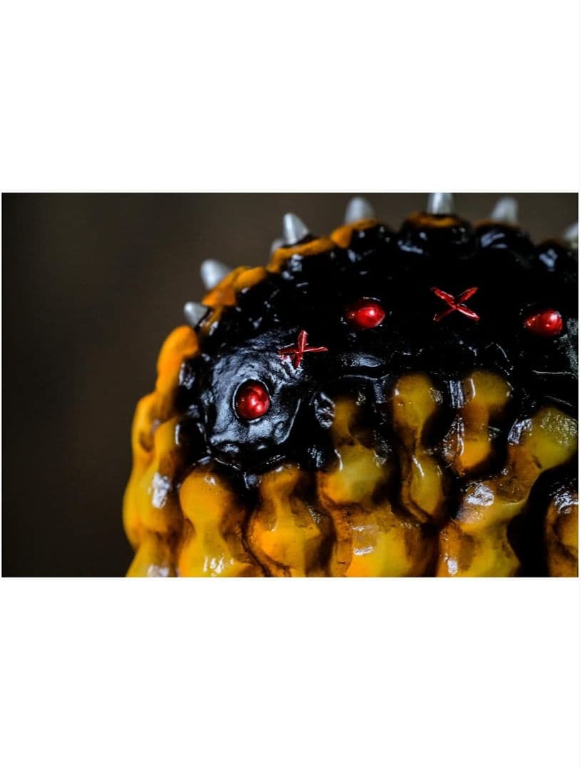 羅本製所 スーフェス ROBINCERAMICSTUDIO Copiapoa