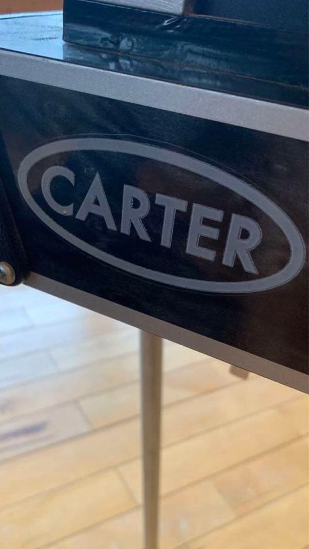 ペダルスチールギター E9 10弦