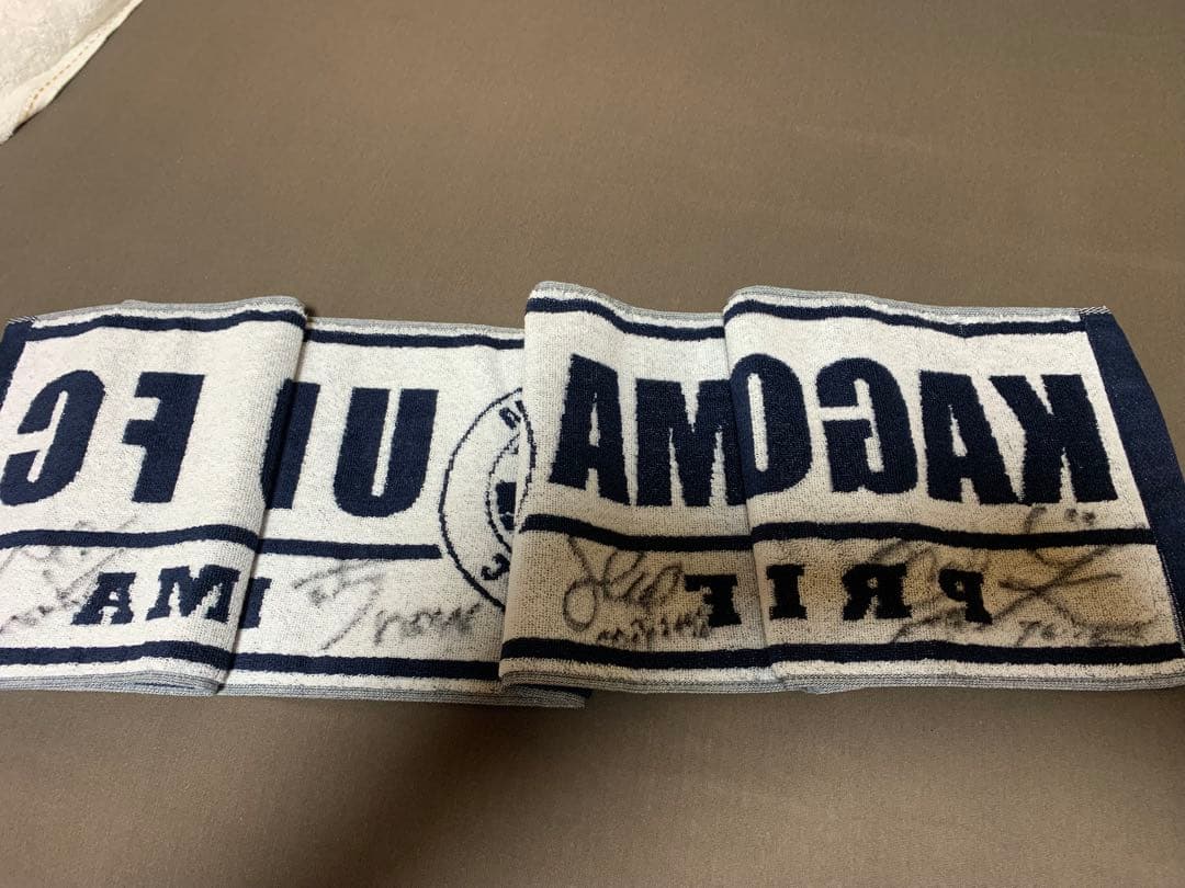 【レア】ExWHYZ サイン入りタオル