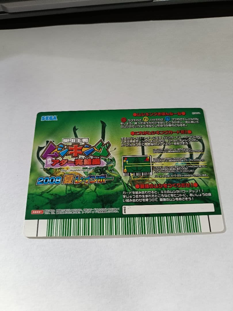 ニジイロクワガタ　美品