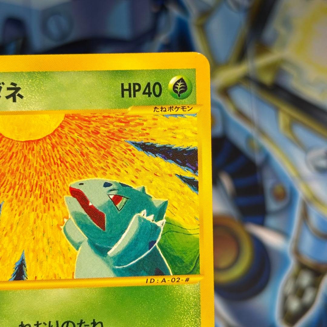 【極美品】フシギダネ eカード スターター 002/029