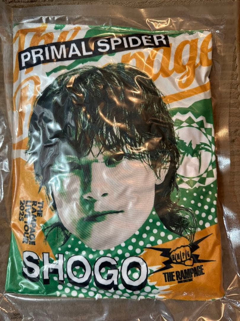 岩谷翔吾　クッション　巡らせる糸