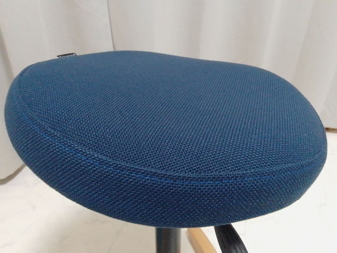 サカモトハウス バランスシナジー カバー付 ラウンド 丸型 ネイビー チェア