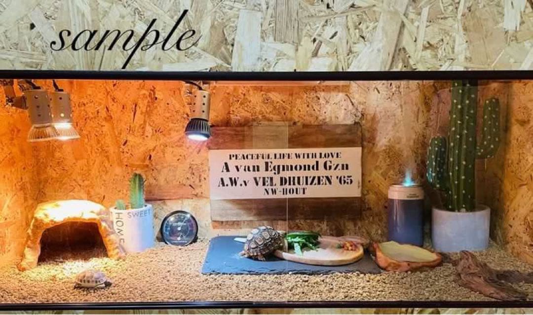 爬虫類ケージ　木製ケージ　フトアゴ　ハリネズミ プロフ必読フルオプション送料込