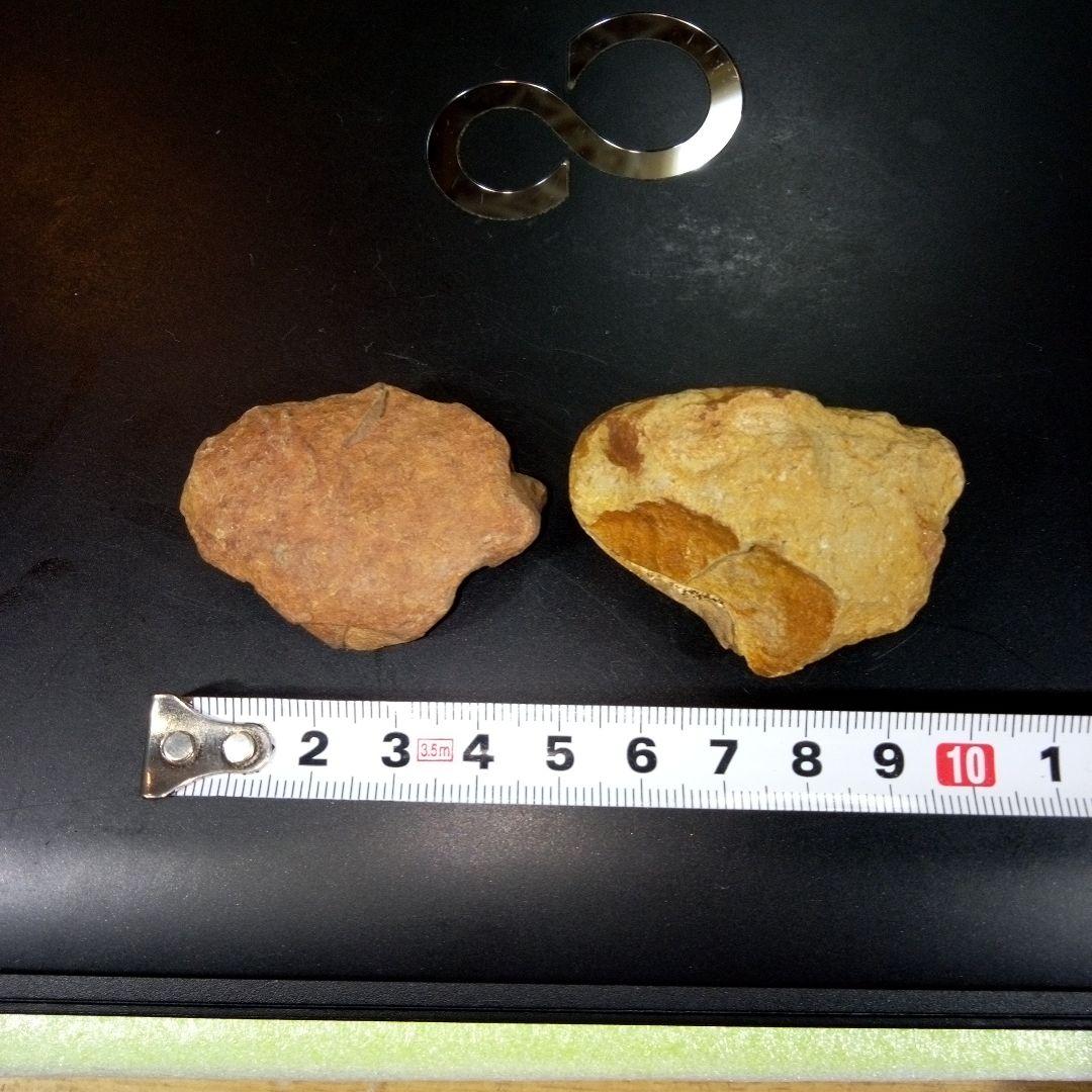 三葉虫　化石　fossil　ボリビア産　レア　Fossil識別④　２個セット