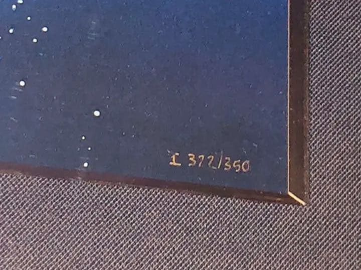 クリスチャン・リース・ラッセン　Dolphin Quest Ⅱ 1997年