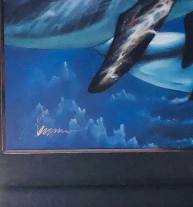 クリスチャン・リース・ラッセン　Dolphin Quest Ⅱ 1997年