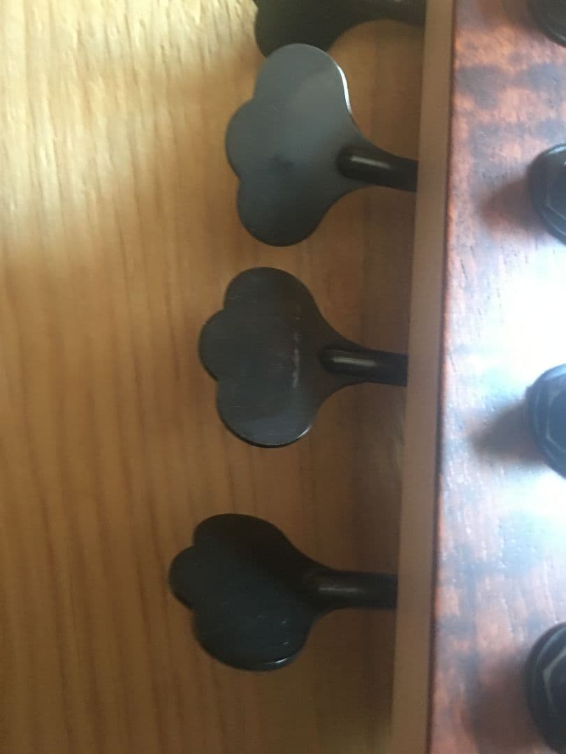 momose　custom 5弦