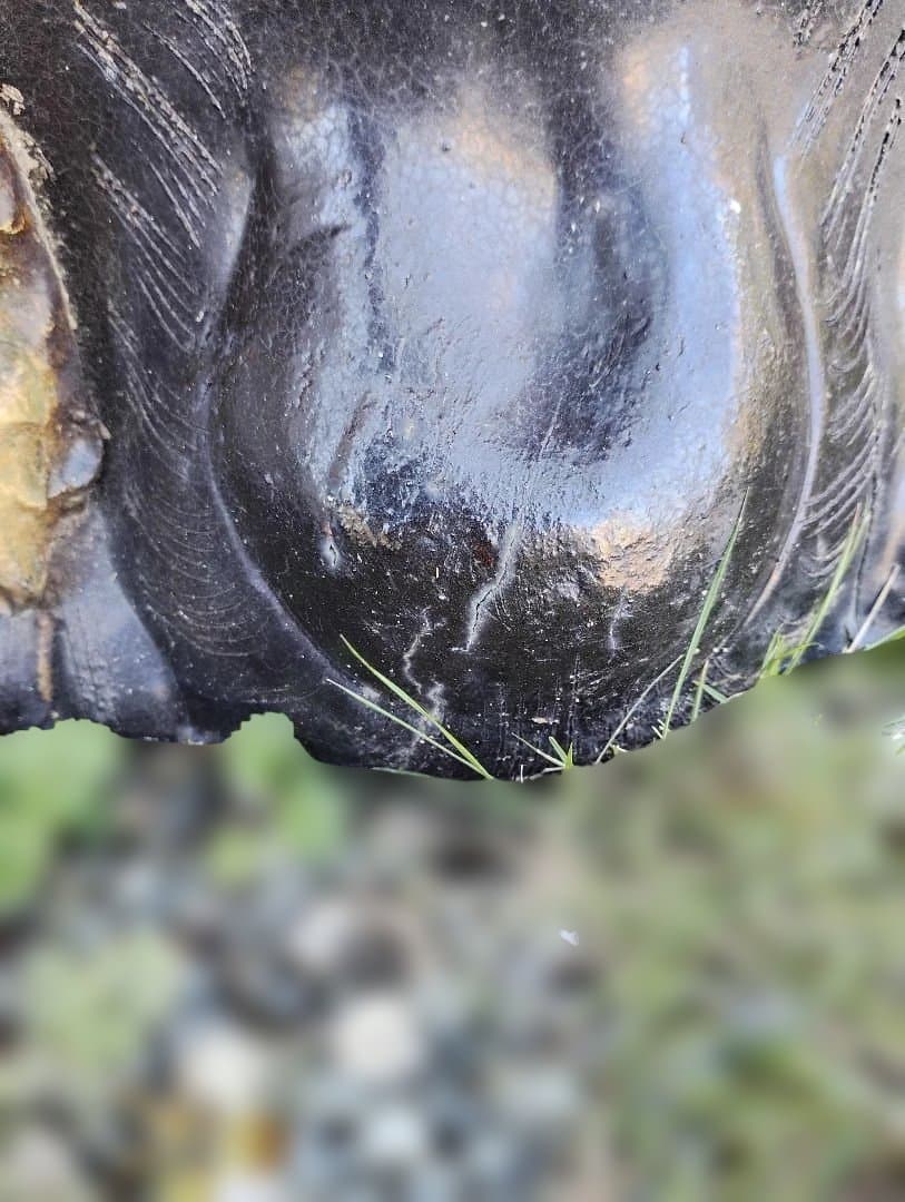 特大 75cm 信楽焼 たぬき 置物 福 狸 縁起 開運