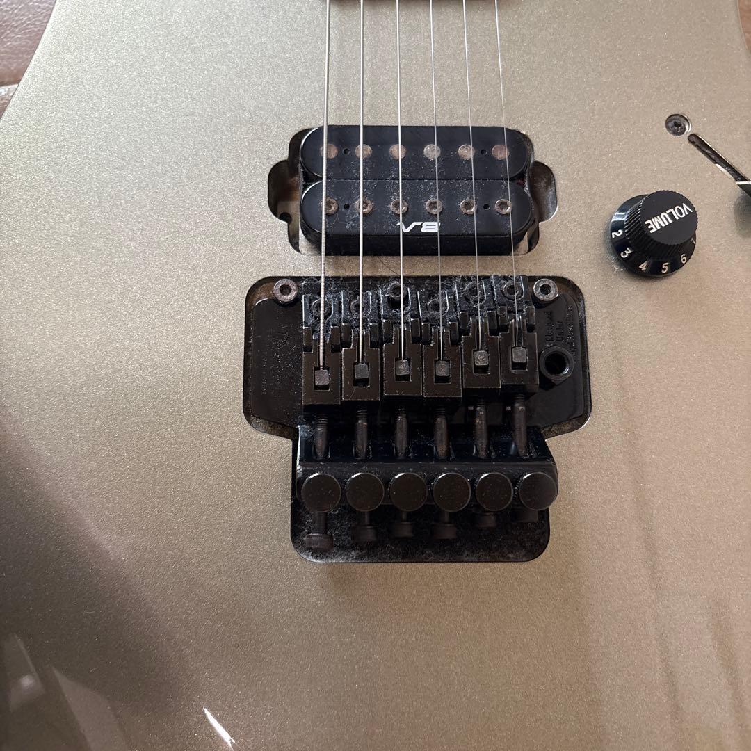 アイバニーズ　フジゲン製