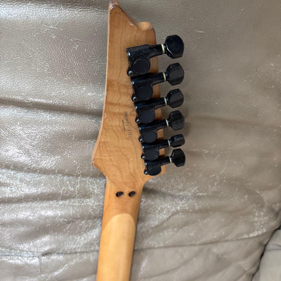 アイバニーズ　フジゲン製