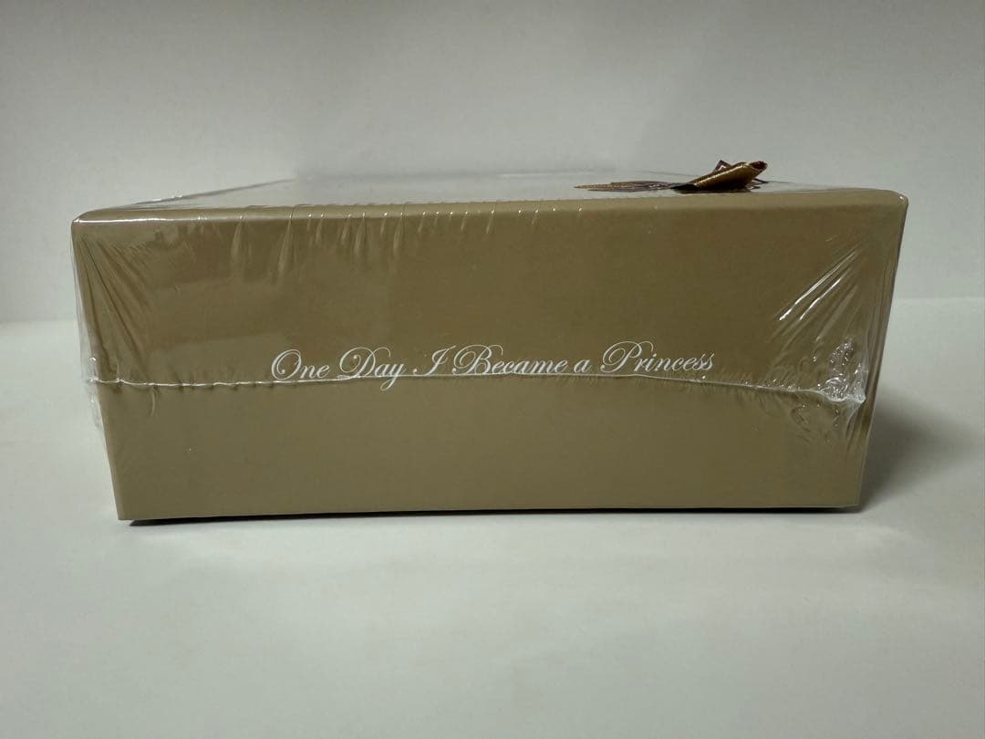 【未開封】韓国まんが　ある日、お姫様になってしまった件について イラストブック