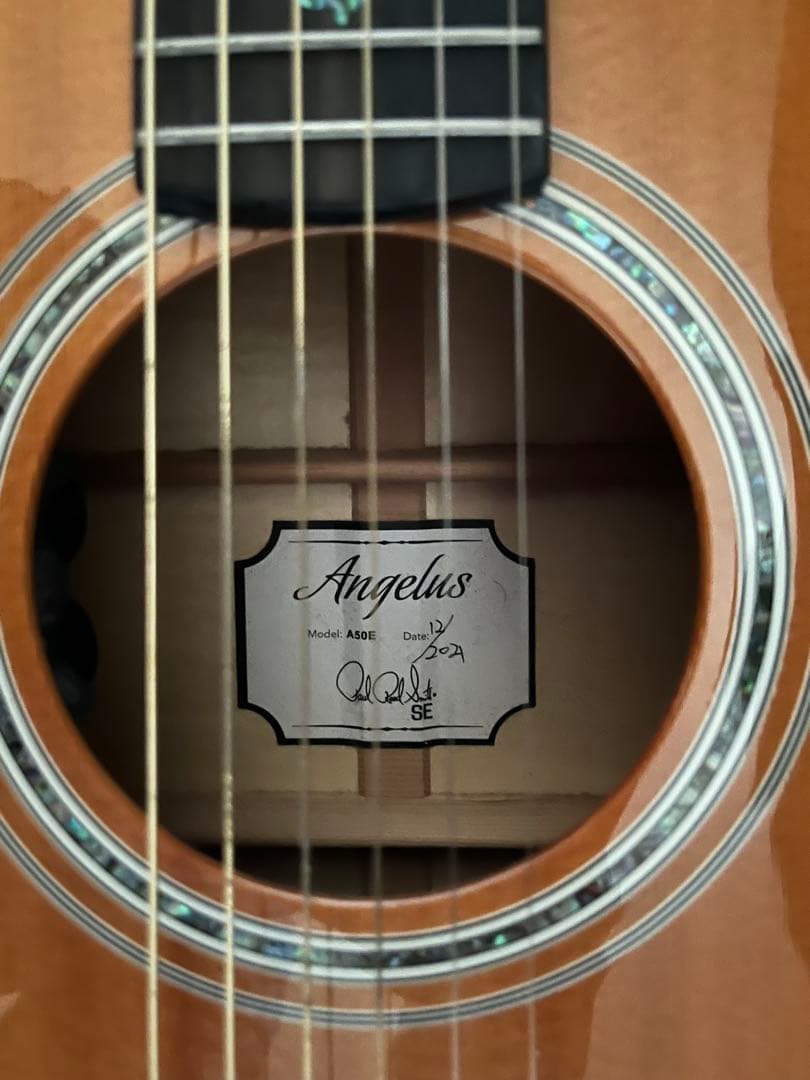 ポールリードスミス　PRS エレアコ