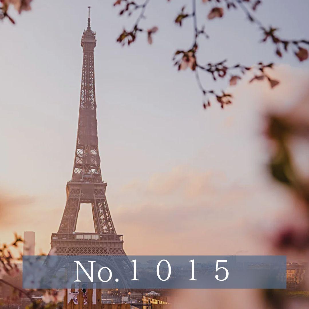 No.1015　おまとめ専用　リング２点