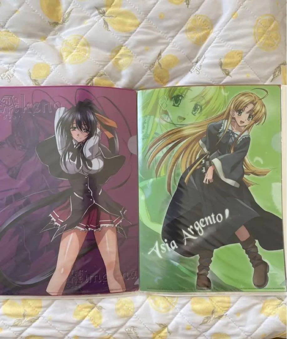 ハイスクール　クリアファイル　グッズ　ハイスクールdd ハイスクールd×d