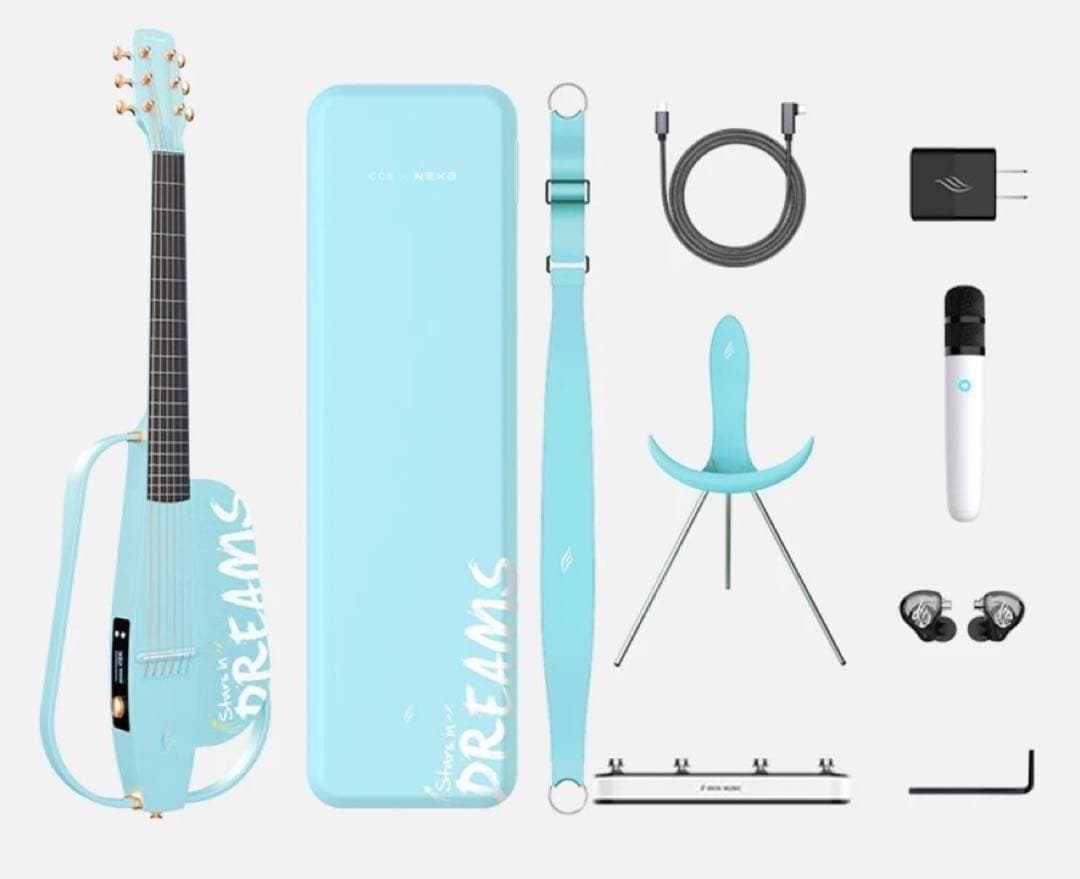 enya nexg2 サイレント　ギター　アコースティック　エレアコ